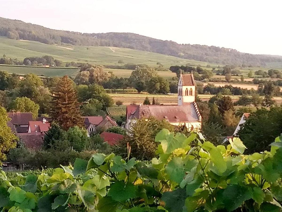 Ferienwohnung Im Gaertle Sulzburg Εξωτερικό φωτογραφία